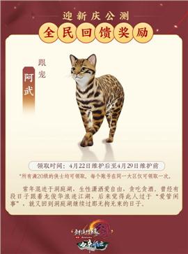 绝杀火龙天龙八部私服